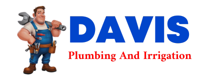 Trusted plumber in SAGOLA